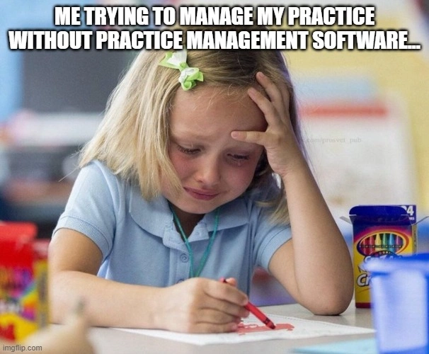 A meme of a girl crying and drawing saying: "Me trying to manage my clinic without practice management software..."