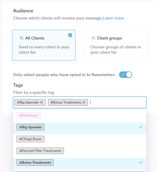 Segment your audience Pabau example