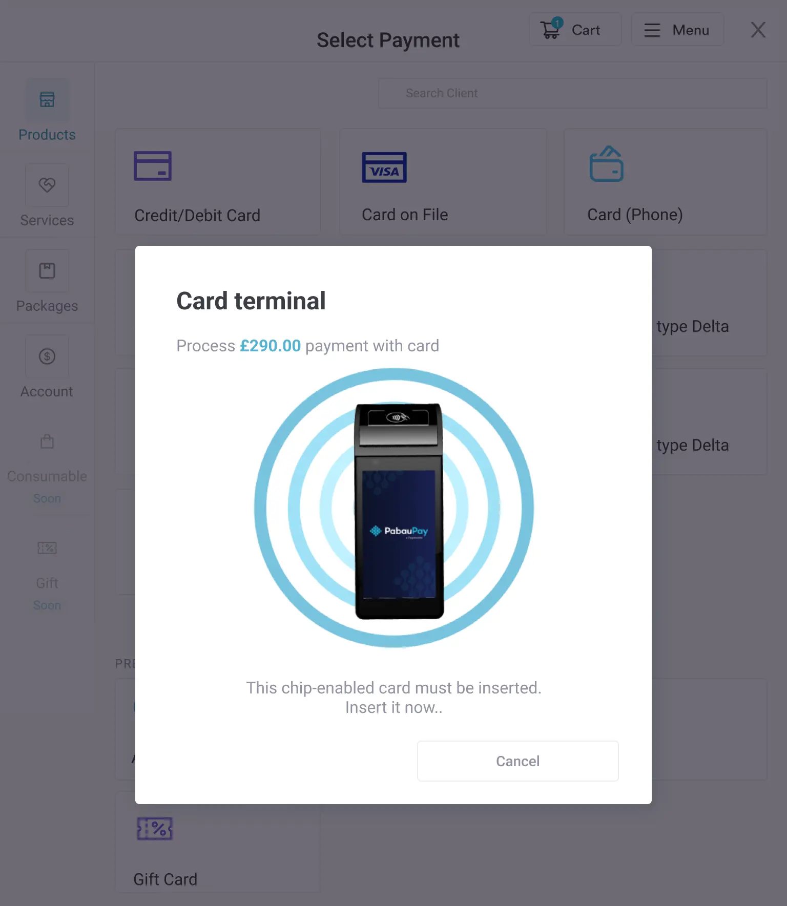 Card terminal loading iPad