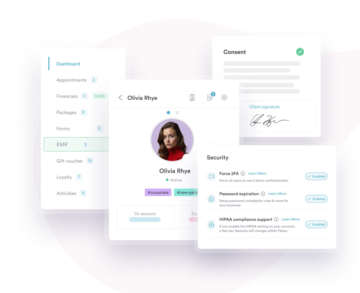 Pabau's secure EMR management