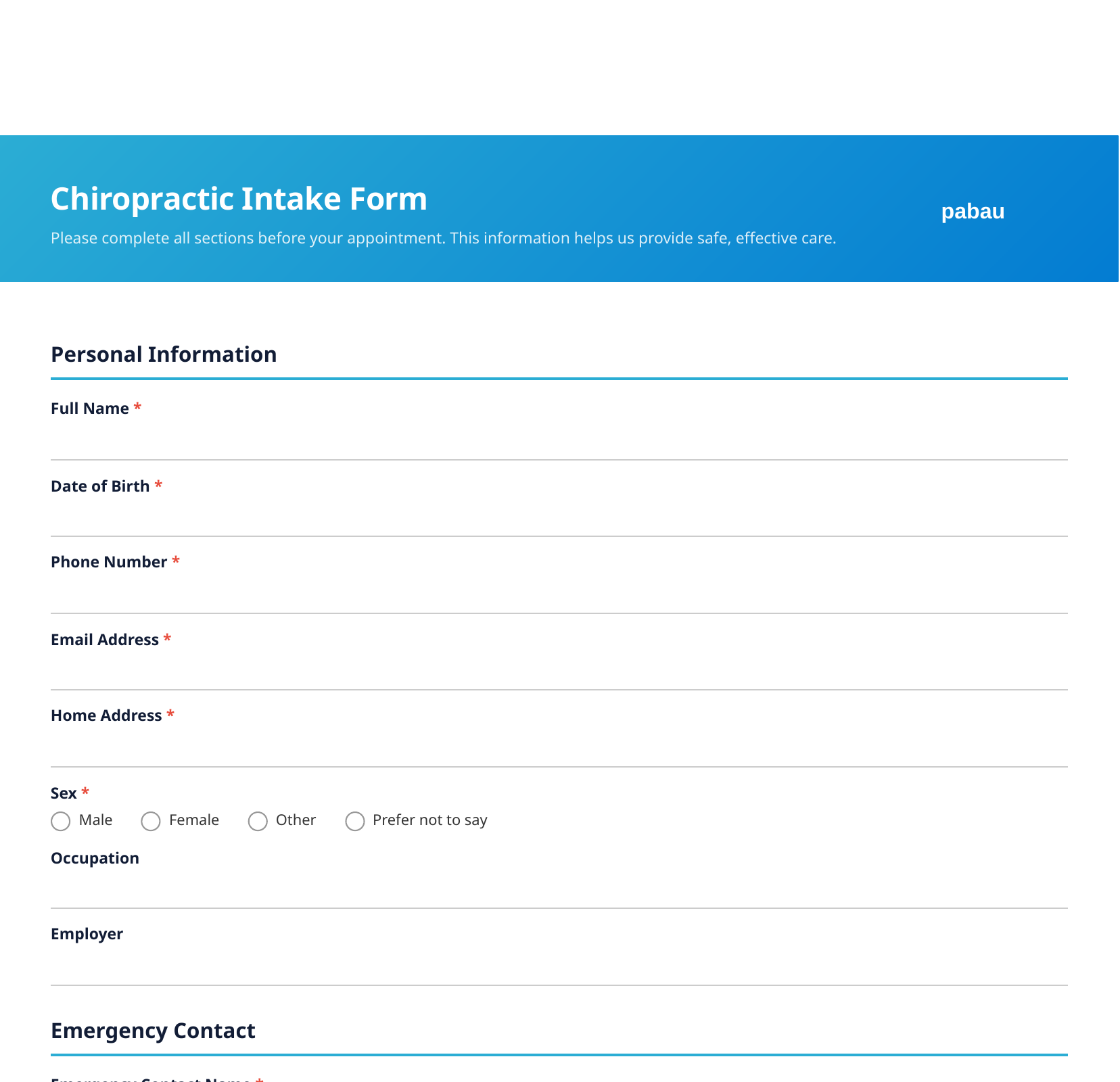 Chiropractic intake form template preview