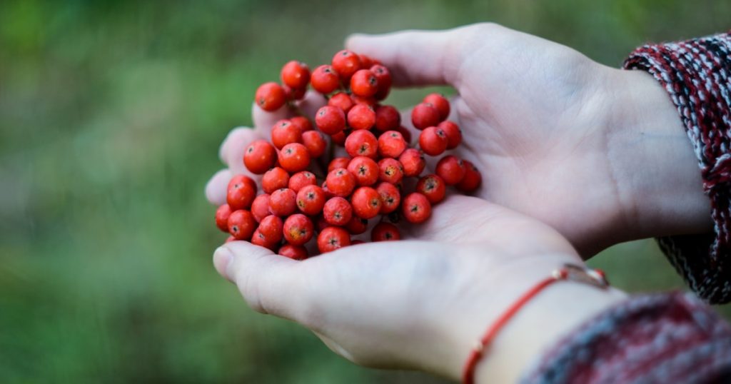 Functional Medicine Business Models: Revenue Frameworks for Sustainable Growth