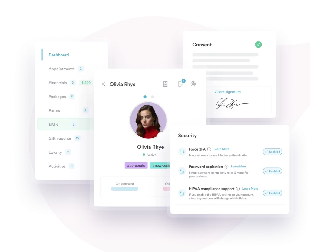 Secure EMR management Pabau